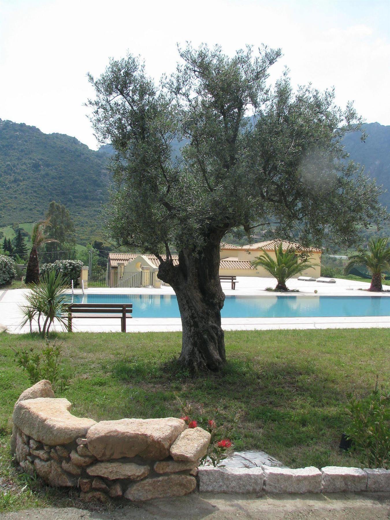 Hotel Hotel Cardedu 3*