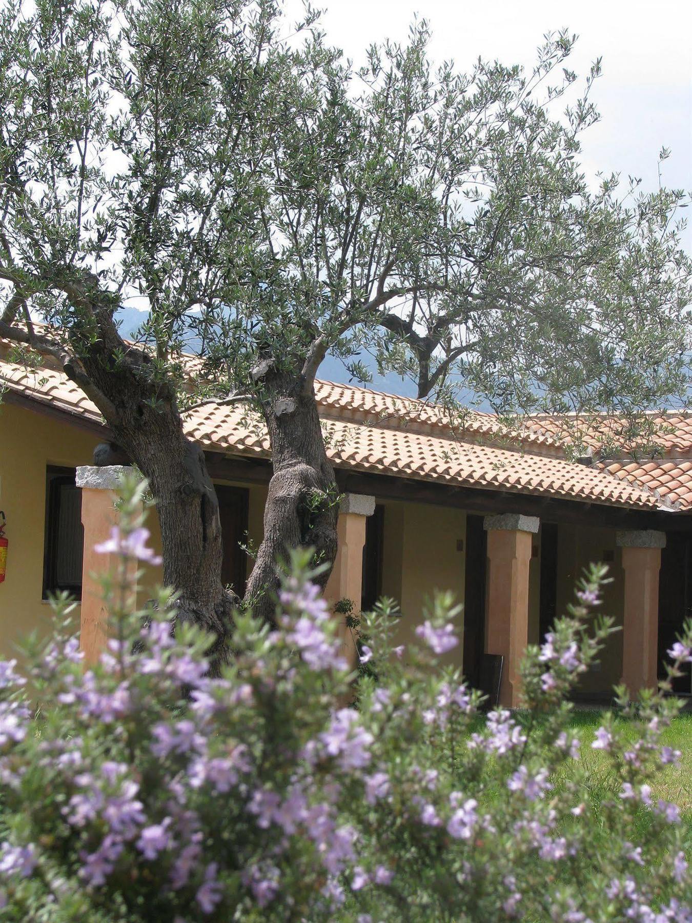 Hotel Cardedu 3*